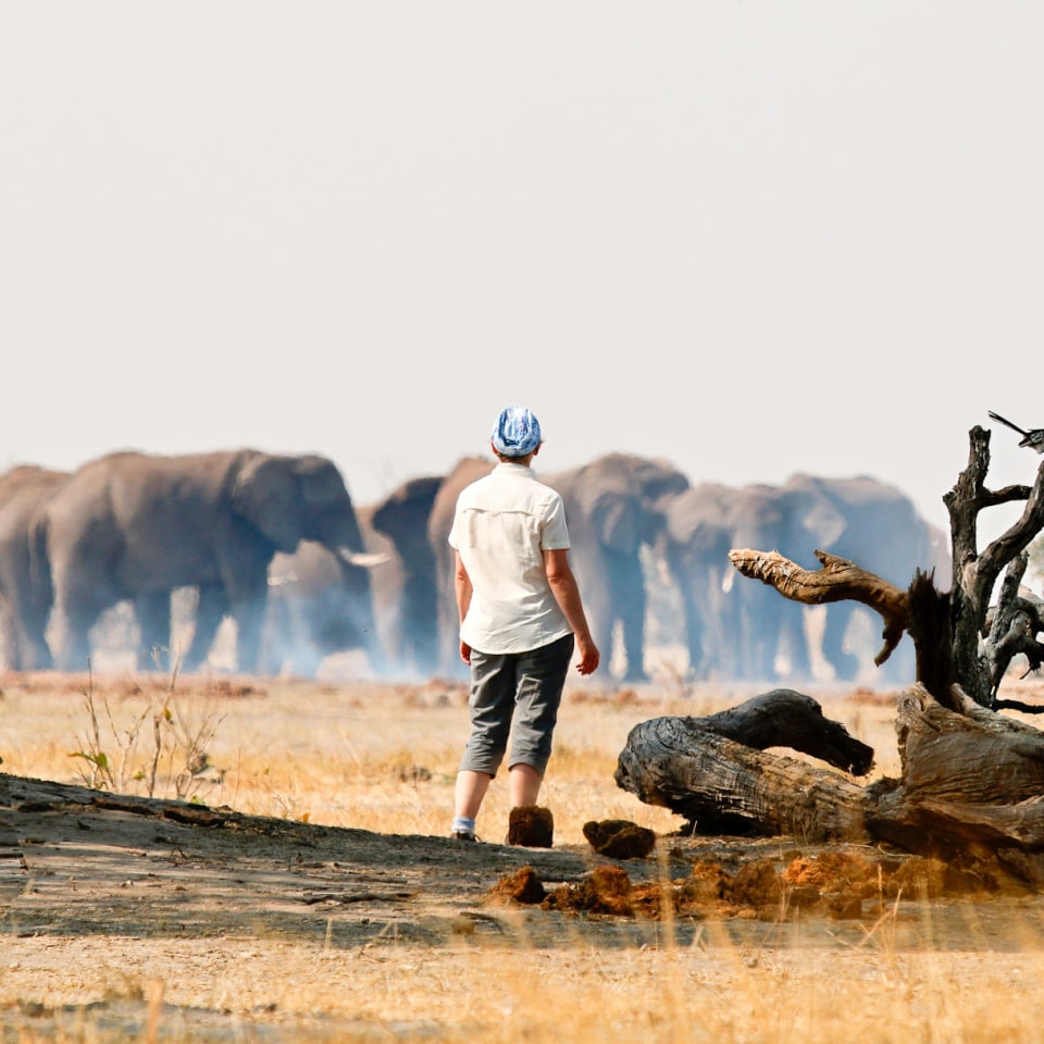 Camping-Safari im wilden Botswana